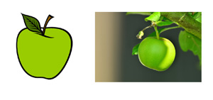 repr&eacute;sentation